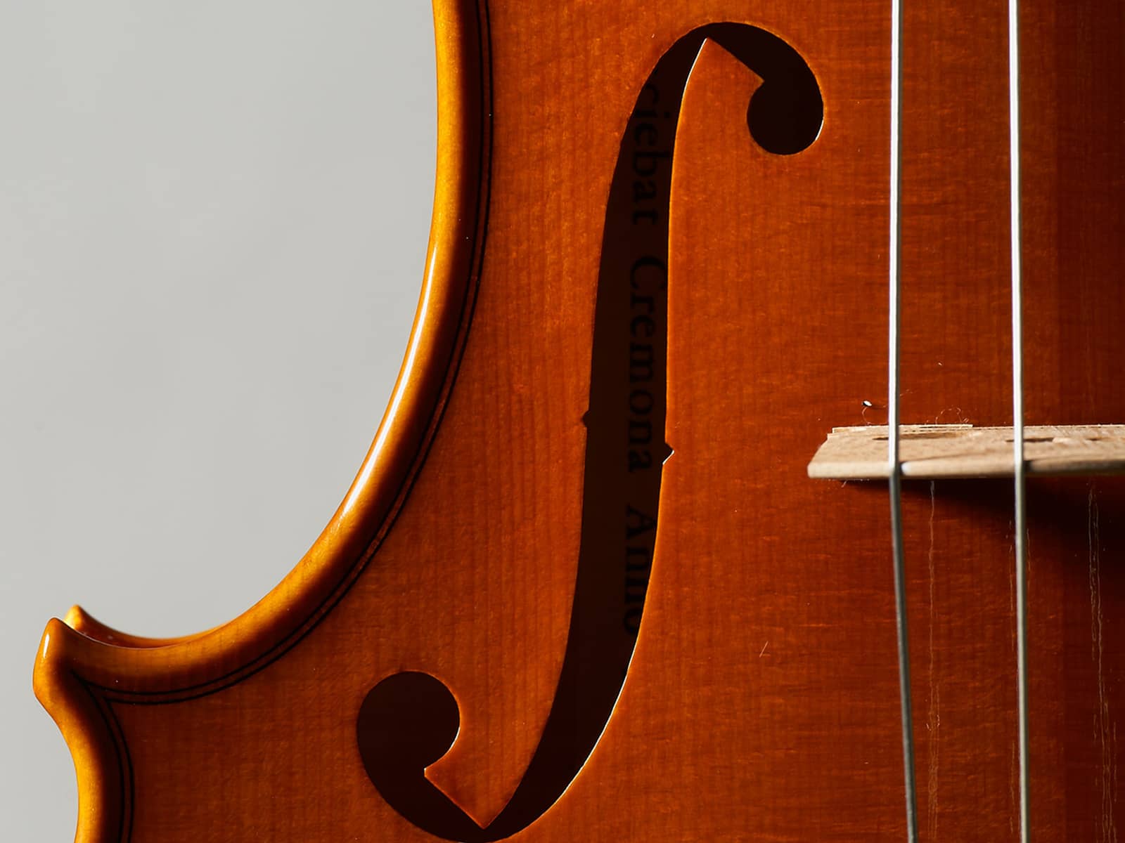 CORRADO BELLI VIOLINS - Web Design Cremona, Crema, Brescia, Piacenza - Wordpress